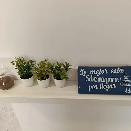 El Caprichito - Fantastico Piso Reformado A 20 Metros De La Playa Apartment